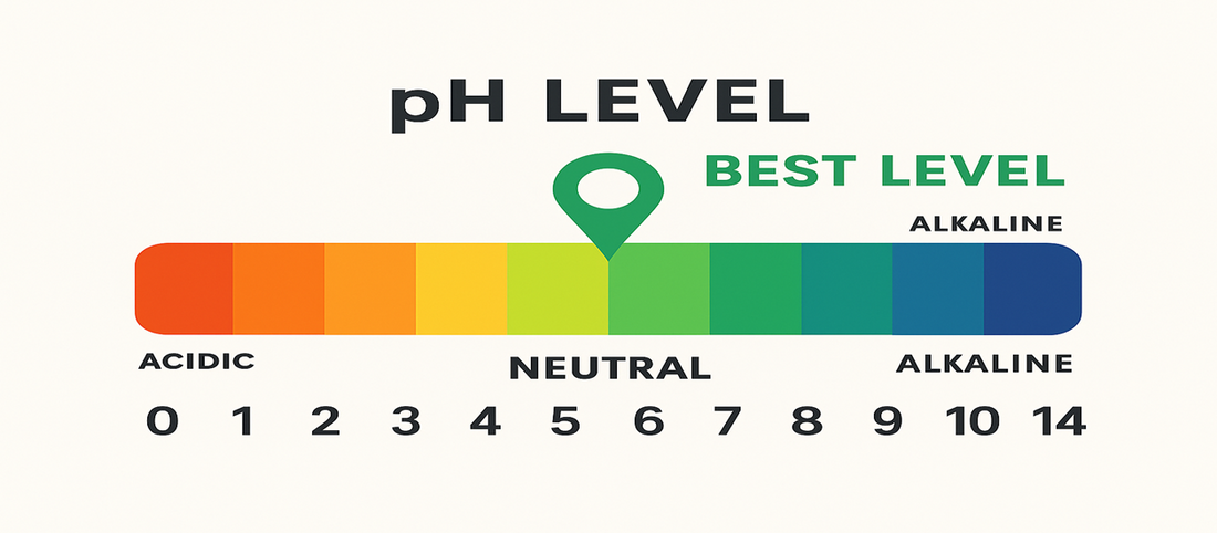 What Is the Right pH for Dogs? A Complete Guide to Canine Skin Health.