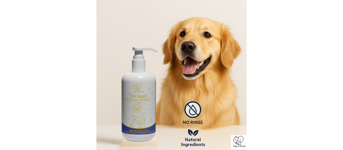 What is Waterless Pet Shampoo? A Game-Changer for Pet Parents on the Go!