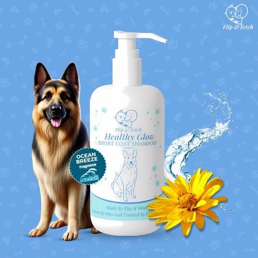Healthy Glow - Short Coat Dog's Shampoo