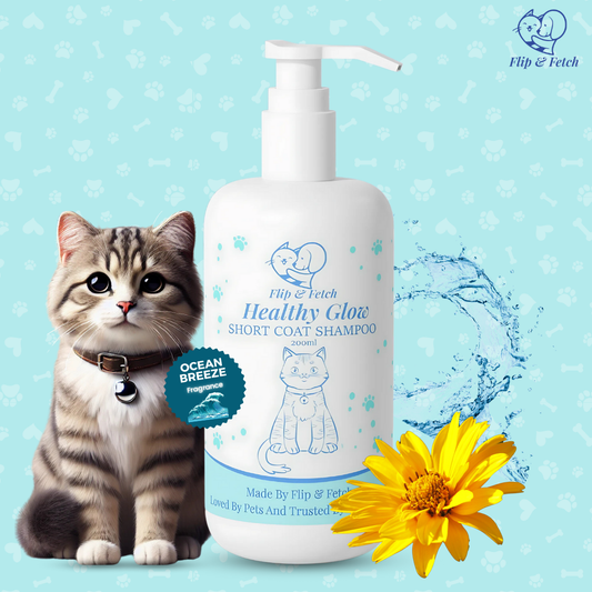 Healthy Glow - Short Coat Cat's Shampoo