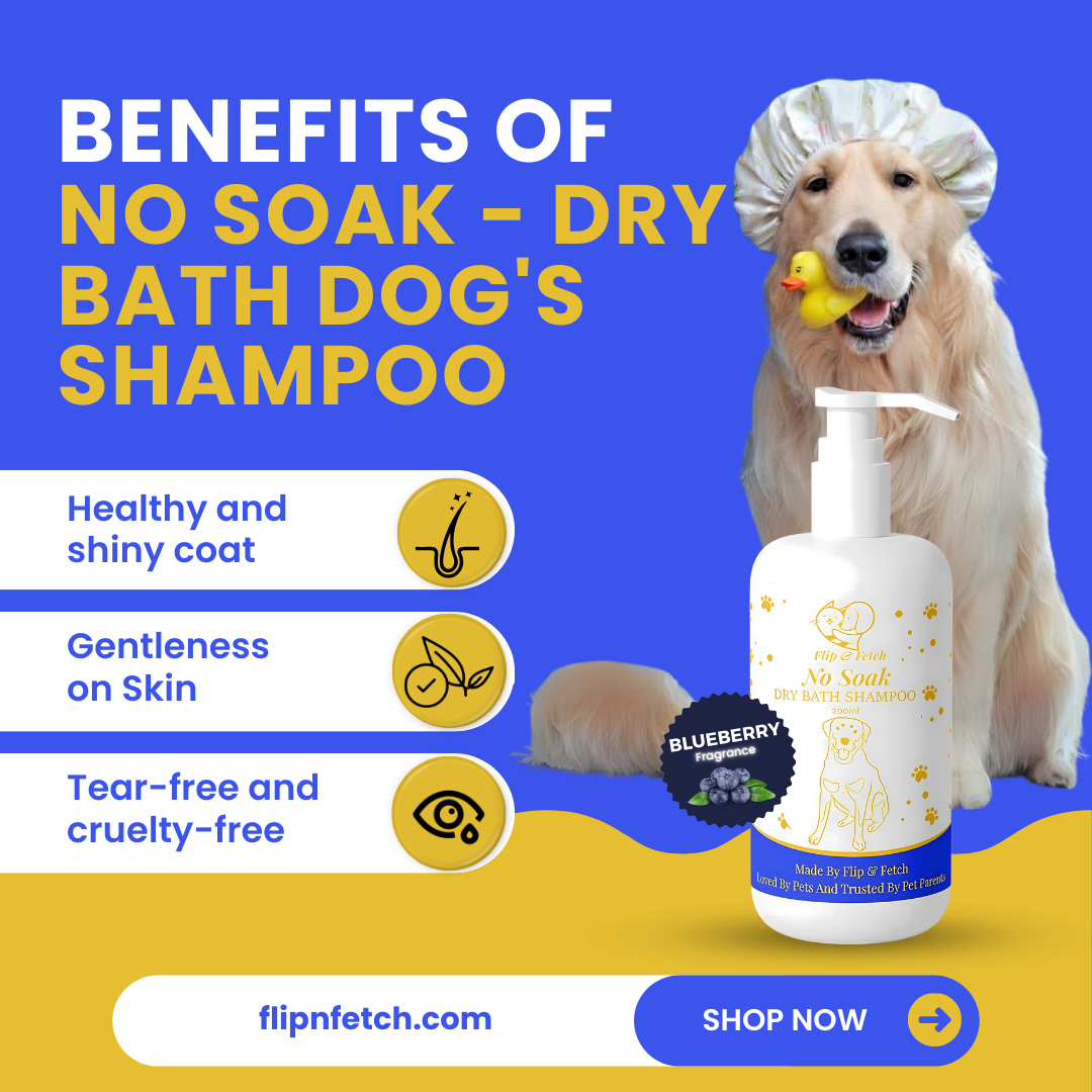No Soak - Dry Bath Dog's Shampoo