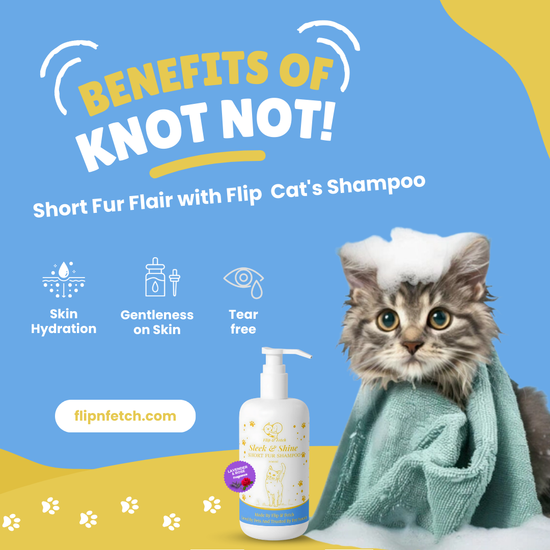 Sleek & Shine - Short Fur Cat's Shampoo