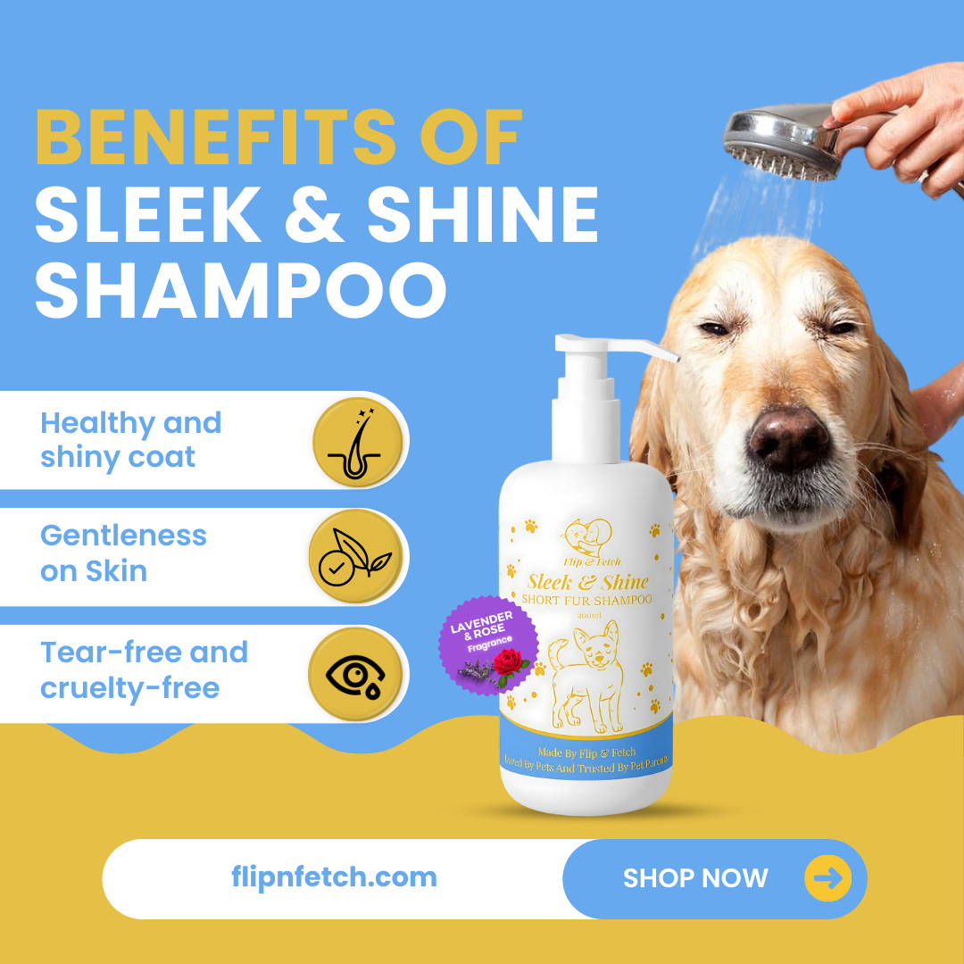 Sleek & Shine - Short Fur Dog's Shampoo