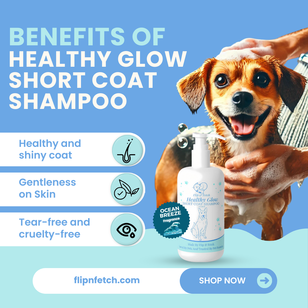 Healthy Glow - Short Coat Dog's Shampoo