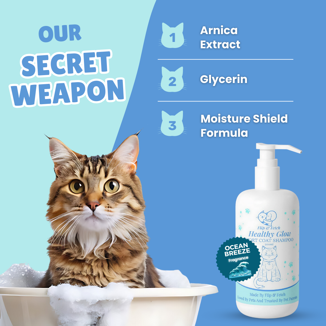 Healthy Glow - Short Coat Cat's Shampoo