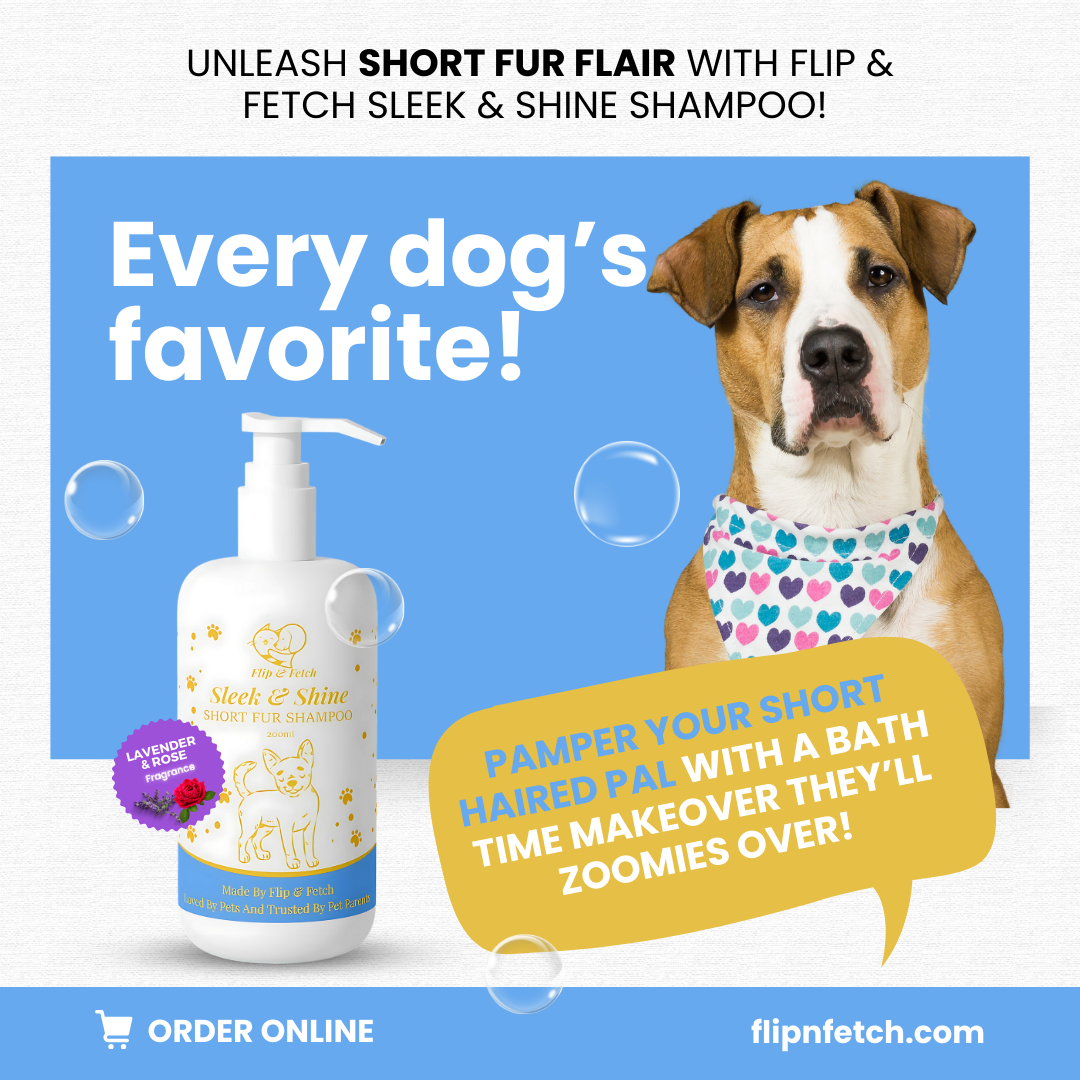 Sleek & Shine - Short Fur Dog's Shampoo