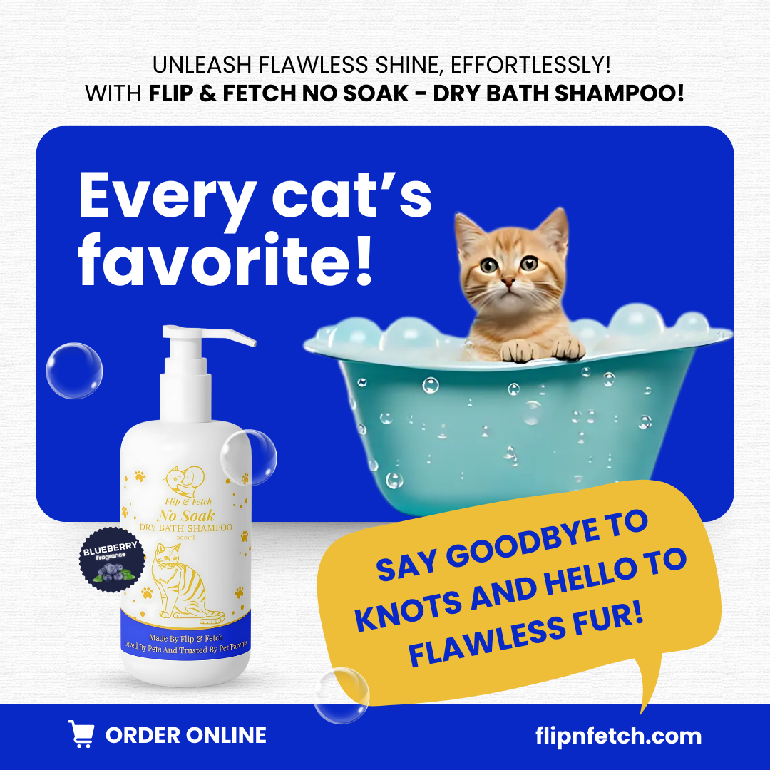 No Soak - Dry Bath Cat's Shampoo