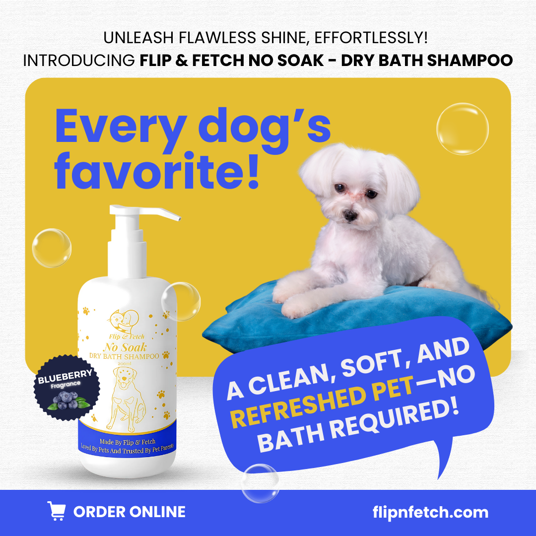 No Soak - Dry Bath Dog's Shampoo