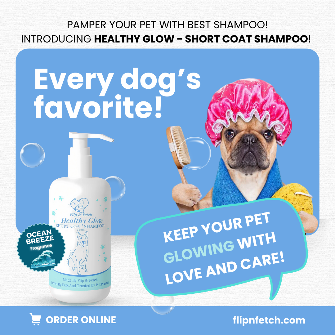 Healthy Glow - Short Coat Dog's Shampoo