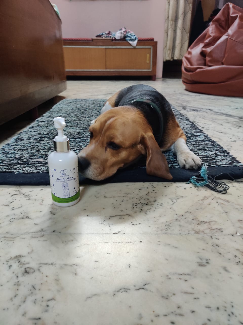 Aloe & Neem Pampering - Long Coat Dog's Shampoo with Conditioner