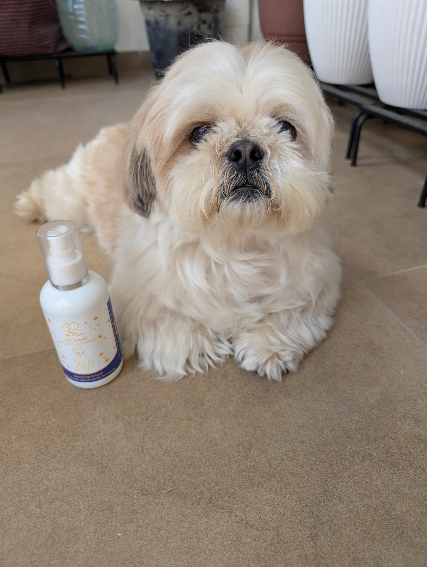 No Soak - Dry Bath Dog's Shampoo