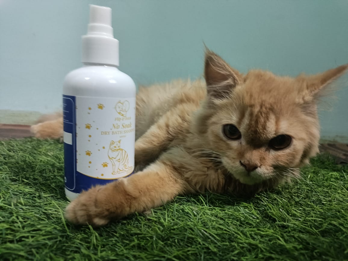 No Soak - Dry Bath Cat's Shampoo