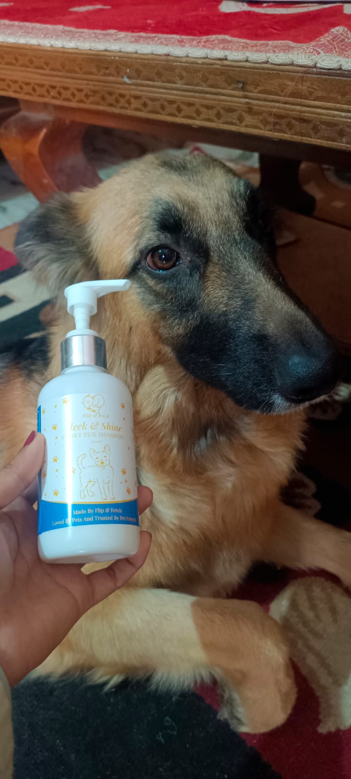 Sleek & Shine - Short Fur Dog's Shampoo