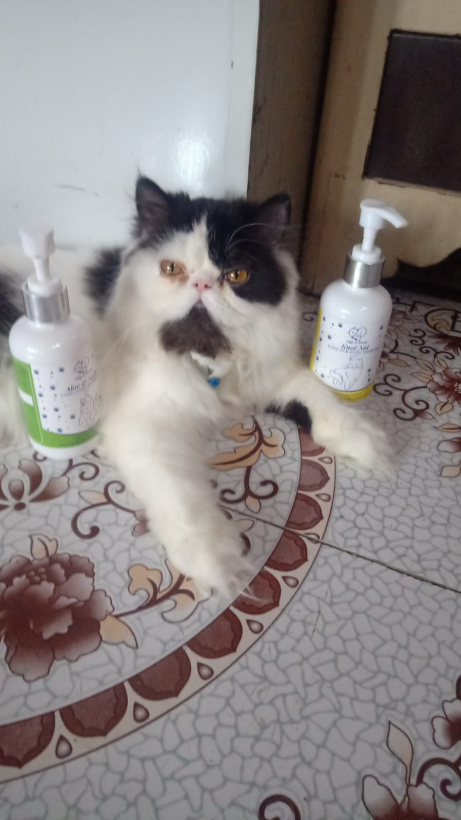 Aloe & Neem Pampering - Long Coat Cat's Shampoo with Conditioner