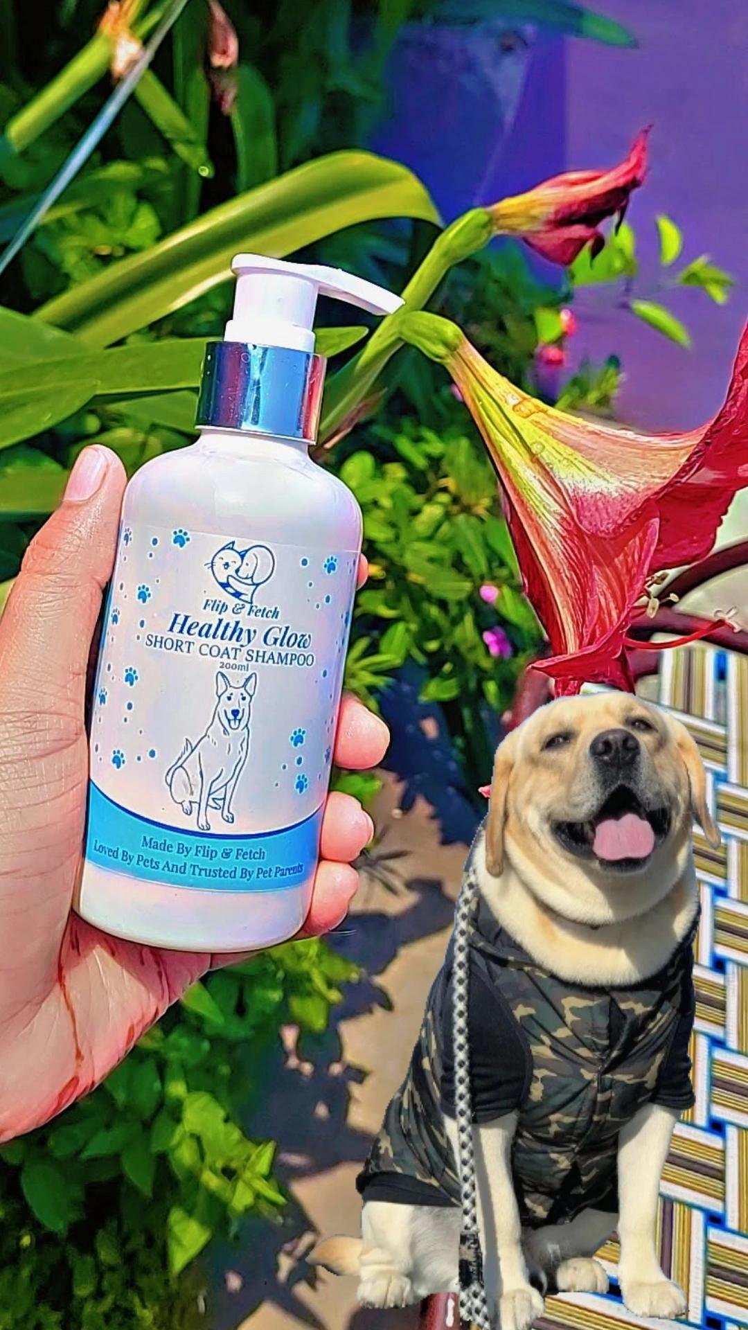 Healthy Glow - Short Coat Dog's Shampoo