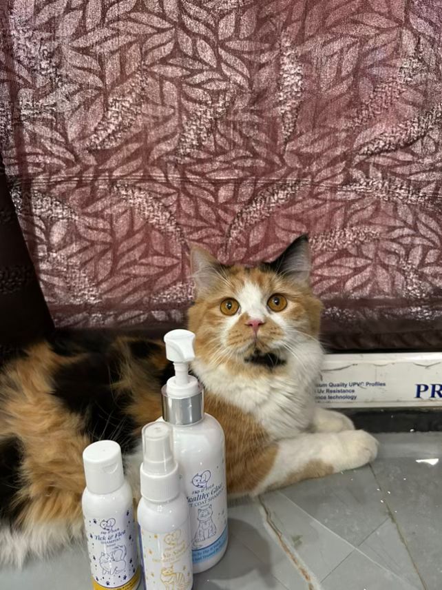 Healthy Glow - Short Coat Cat's Shampoo