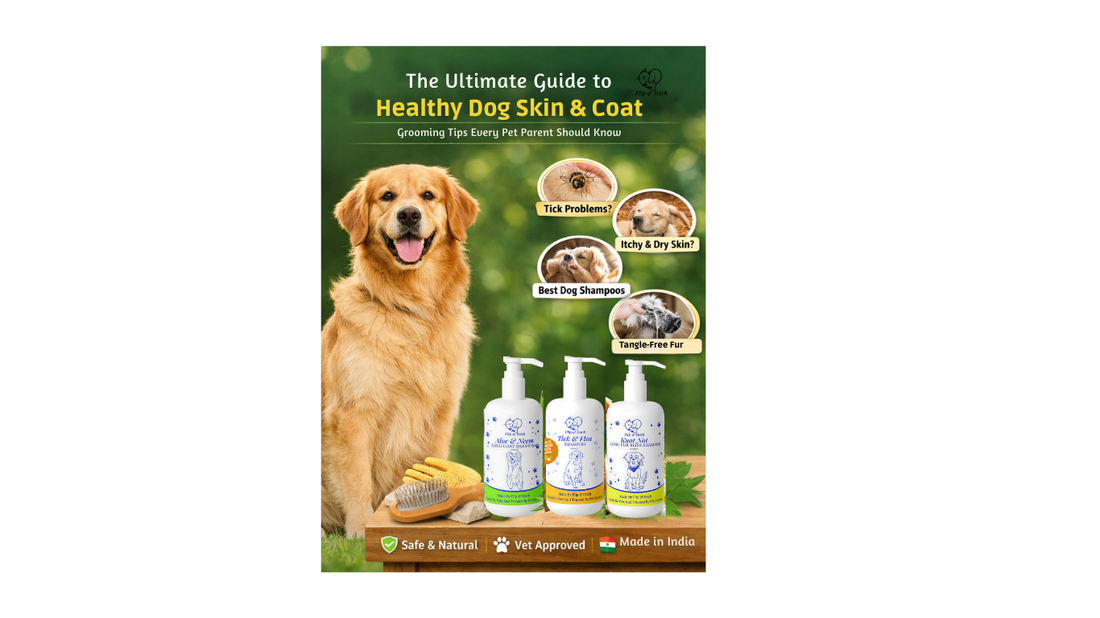 Best Dog Shampoo in India: A Complete Guide to Healthy Skin & Coat Care