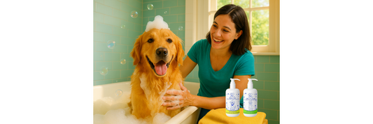 🛁 How to Bathe Your Dog the Right Way: A Complete Guide for Pet Parents