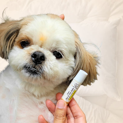 Happy Paw & Nose Balm – 100% Natural, Lick-Safe Protection (5g)