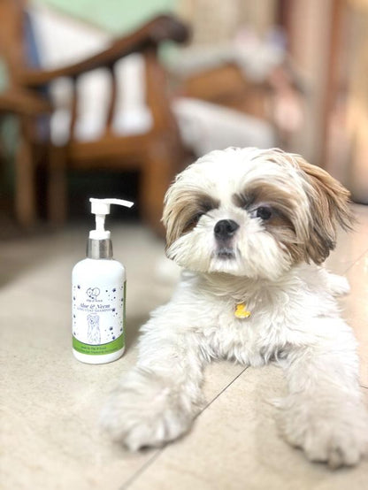 Aloe & Neem Pampering - Long Coat Dog's Shampoo with Conditioner
